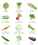 What to Plant When - Veggie & Herb Guide Print by Garden Girl