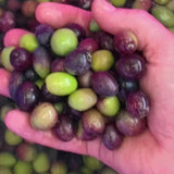 Table Olives - green
