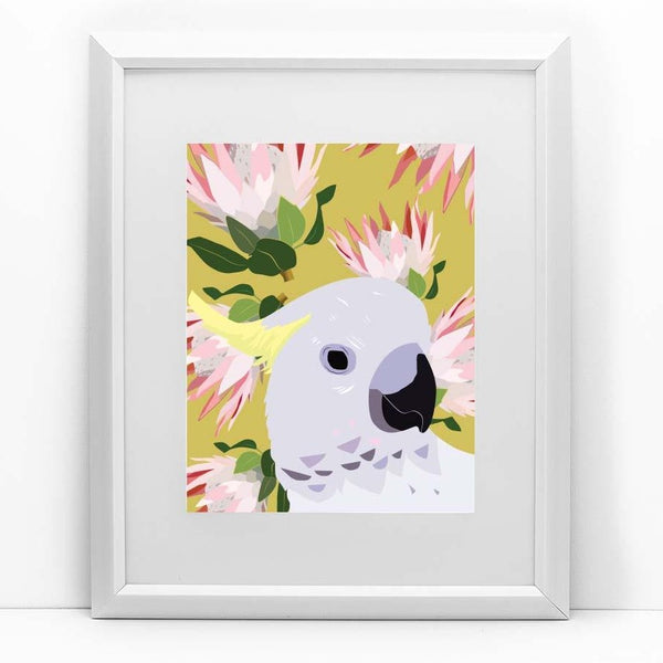Sulpher Crested Cockatoo Print